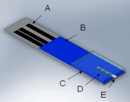 Image: Screen-printed electrical leads (A), an insulating layer (B), a silicone fluidics piece (C), a sensing well covering the three electrode system (D), and an absorbent sampling material (E) are the main components of the glucose lacrimation device. (Photo courtesy of Arizona State University). 